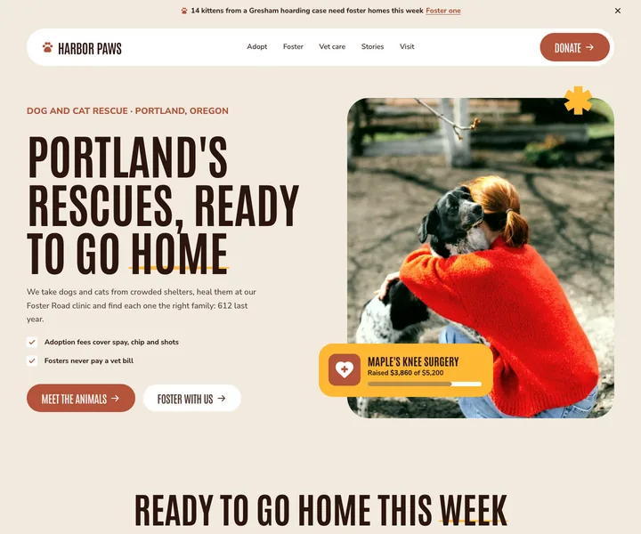 Harbor Paws website, made with the Kelvo skill
