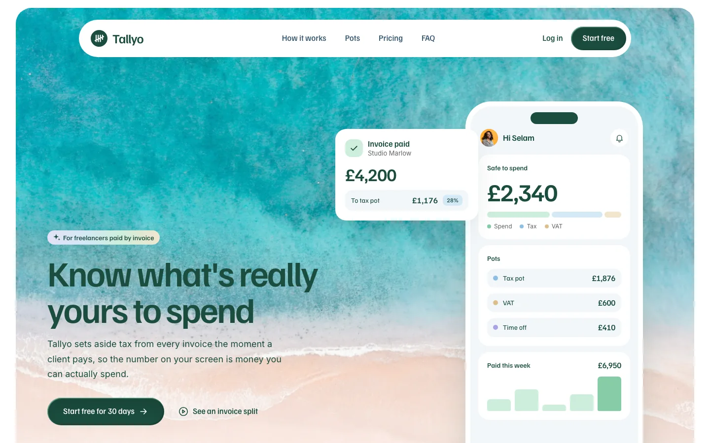 Tallyo website, made with the Plumo skill